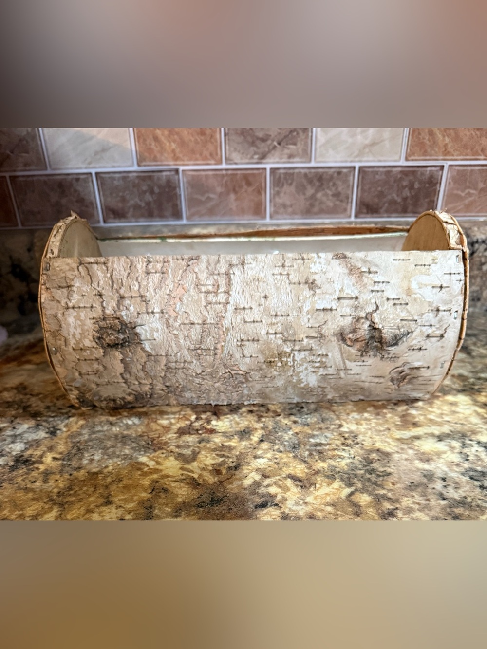 Birch Bark container pot planter lined - Neutral Beige